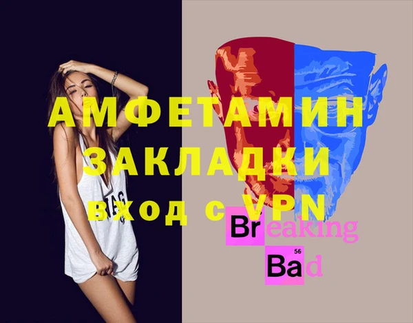 трава Коряжма