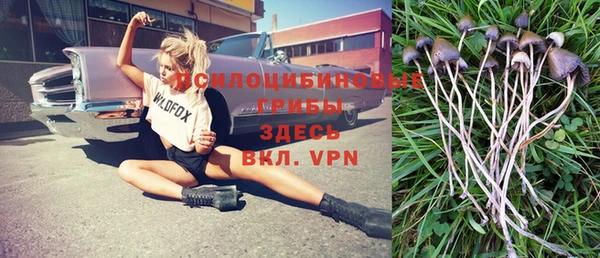 трава Коряжма