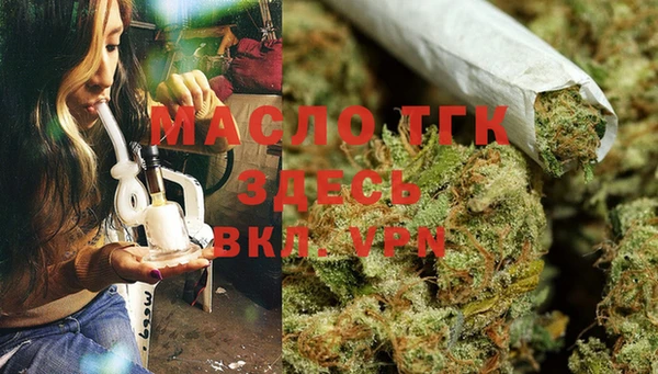 трава Коряжма