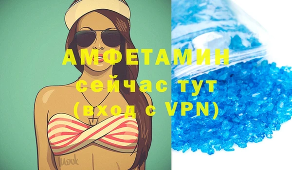 трава Коряжма