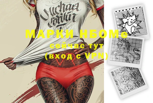 трава Коряжма