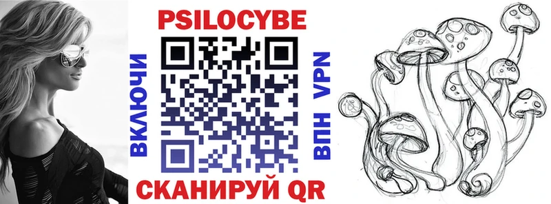 Галлюциногенные грибы Psilocybine cubensis  Купить  Копейск 